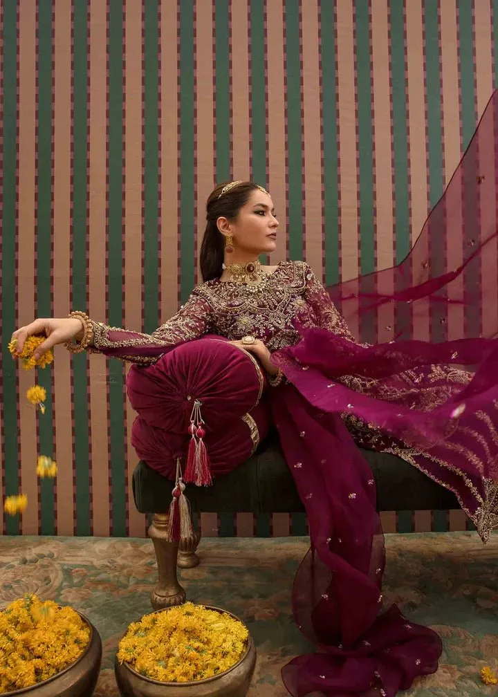 Kanwal Malik | Angana '23 | Anari