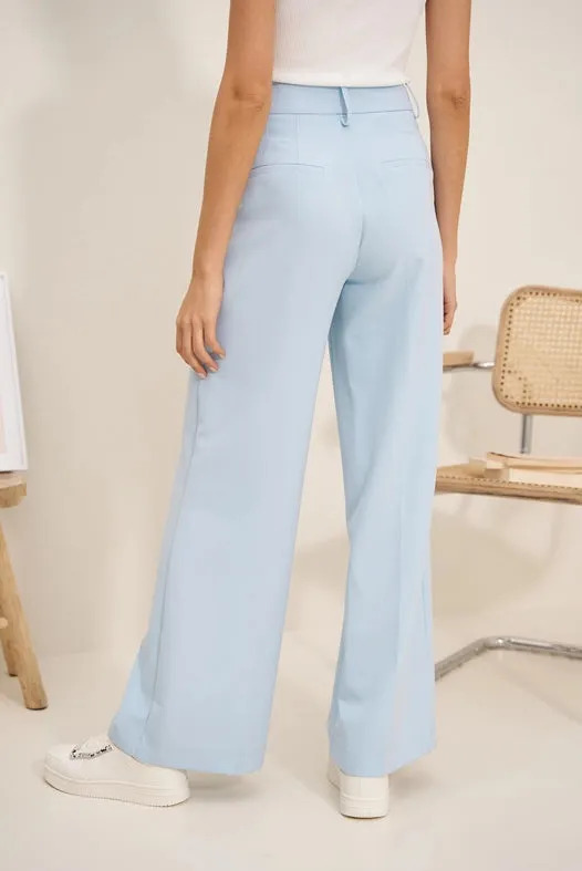 Timeless Double-Breasted Wide-Cut Plain Pants Sky Blue