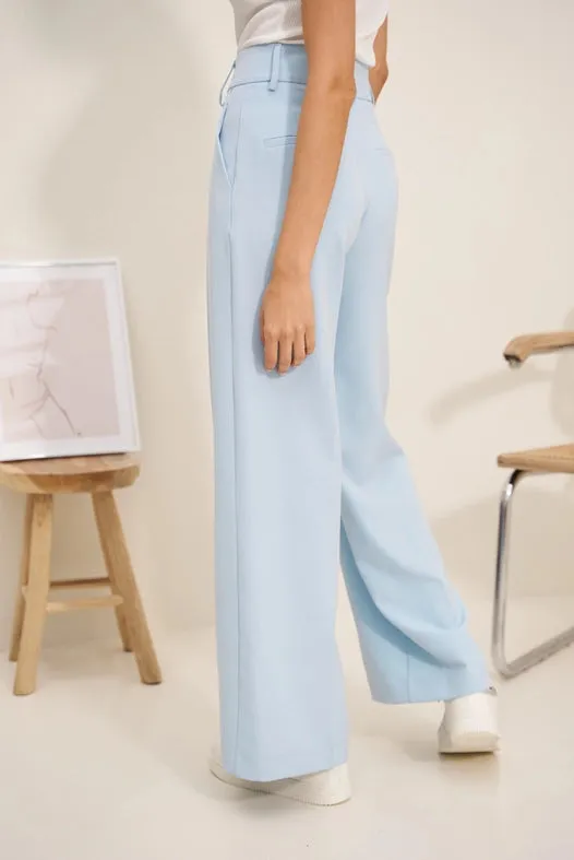 Timeless Double-Breasted Wide-Cut Plain Pants Sky Blue